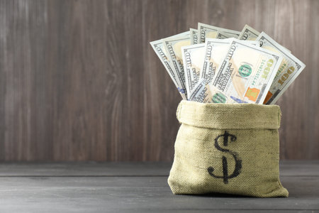 Money bag with dollar banknotes on grey wooden table, space for text