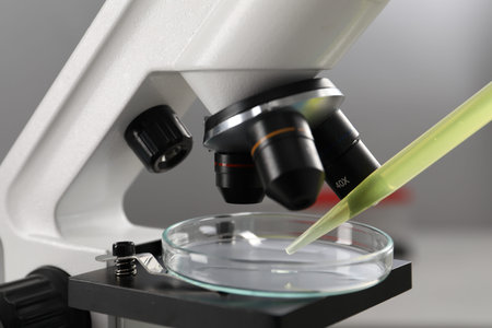Scientist dripping liquid from pipette into Petri dish and microscope, closeup