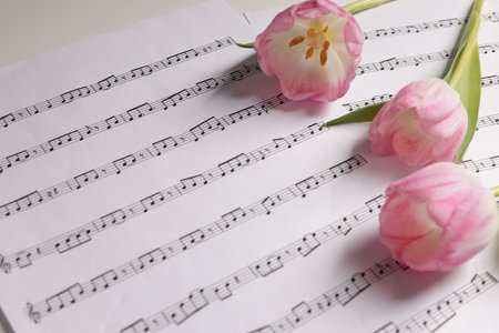 Beautiful tulips and sheets with music notes on white table, closeupの写真素材