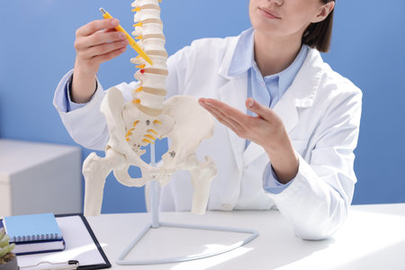 Doctor pointing at sections of human spine model at desk in clinic, closeup