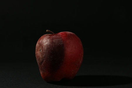 One rotten red apple on black backgroundの写真素材