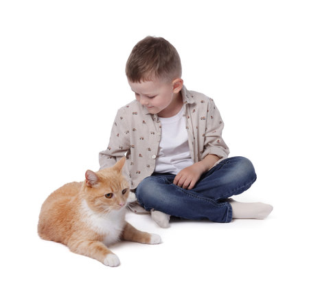 Little boy with her cute ginger cat on white backgroundの写真素材