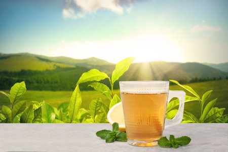 Cup of green tea on white table against tea plantation in mountains. Space for textの写真素材