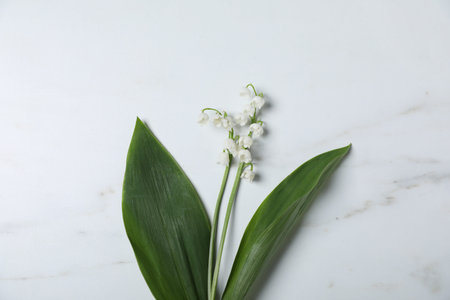 Beautiful lily-of-the-valley flowers on white marble background, top view