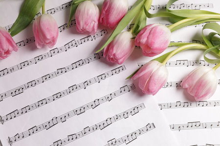 Beautiful tulips on sheets with music notes, top viewの写真素材