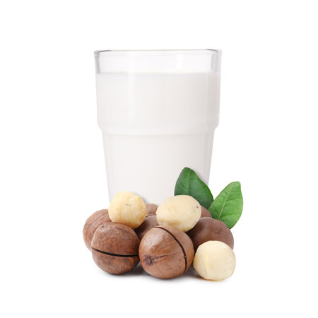 Nut milk in glass and macadamias isolated on whiteの写真素材