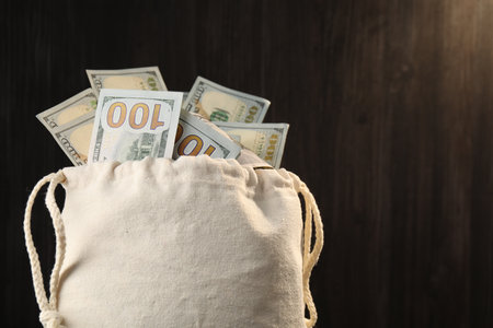 Money bag with dollar banknotes on blurred background, closeup. Space for textの写真素材