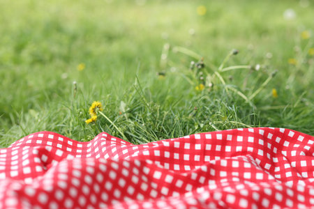 Red checkered blanket for picnic on green grass outdoors, closeupの写真素材