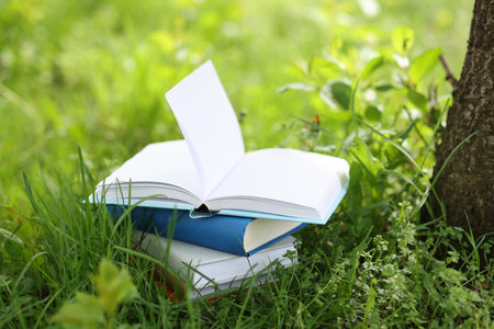 Different stacked books on green grass outdoorsの写真素材