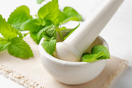 Fresh lemon balm leaves and pestle in mortar on white wooden table, closeupの写真素材