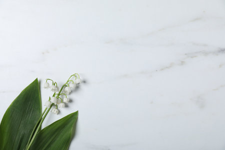 Beautiful lily-of-the-valley flowers on white marble background, top view. Space for textの写真素材
