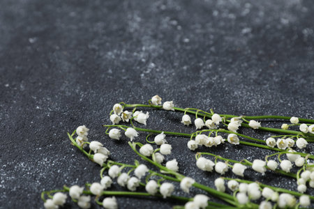 Beautiful lily-of-the-valley flowers on black textured background, closeup. Space for textの写真素材