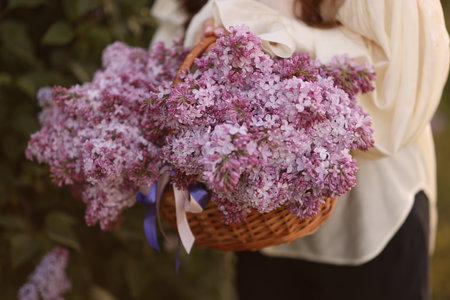 Woman with basket of lilac flowers outdoors, closeupの写真素材