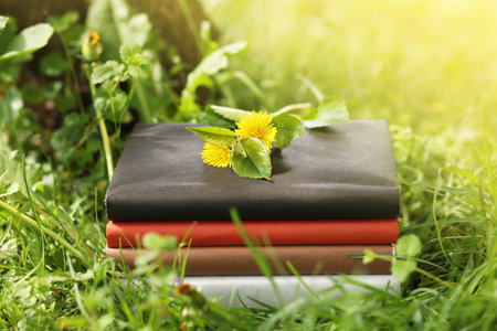 Stacked books with dandelion flowers on green grass outdoors, closeupの写真素材