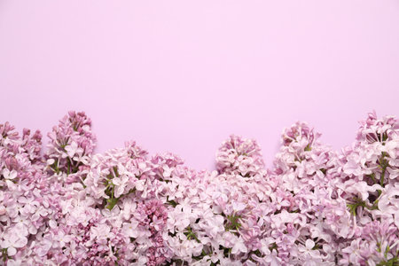 Beautiful lilac flowers on pink background, flat lay. Space for textの写真素材