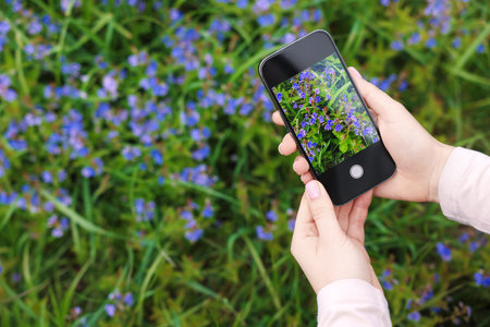 Woman using plant recognition application on smartphone outdoors, closeup. Space for textの写真素材