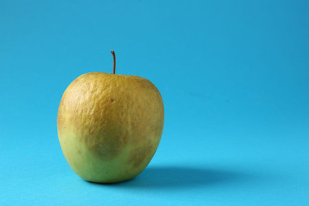 One rotten green apple on light blue background. Space for textの写真素材