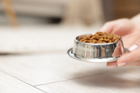 Woman with bowl of dry pet food on floor at home, closeup. Space for text