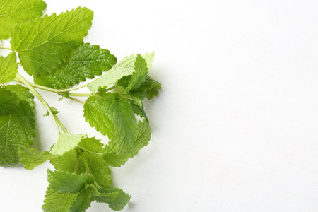 Fresh lemon balm leaves on white table, top view. Space for text