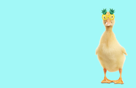 Cute duckling with pineapple sunglasses against light blue background. Banner design with space for textの写真素材