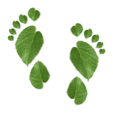 Human footprints made of green leaves on white background, top view. Environmental care, ecology protection, reducing CO2 emissionの写真素材