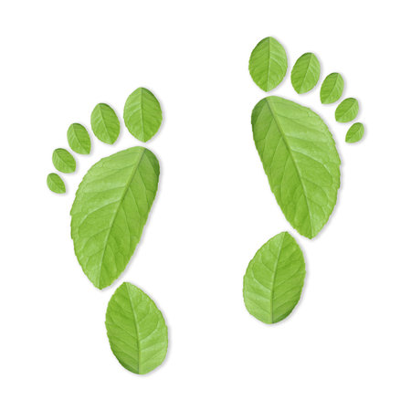 Human footprints made of green leaves on white background, top view. Environmental care, ecology protection, reducing CO2 emissionの写真素材