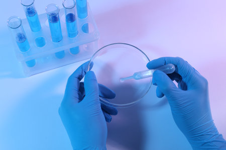 Scientist taking sample with pipette out of Petri dish on light background, closeupの写真素材