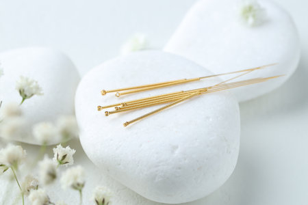 Acupuncture needles, pebble stones and flowers on light table, closeupの写真素材