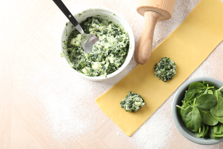 Making ravioli with cottage cheese and spinach at light table, flat lay. Space for textの写真素材