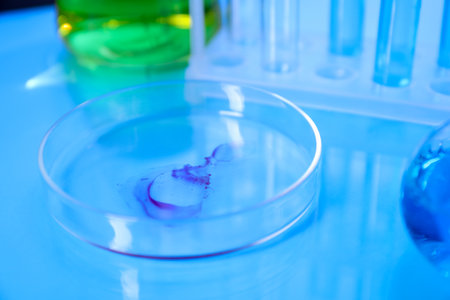 Petri dish with sample on light blue table, closeupの写真素材