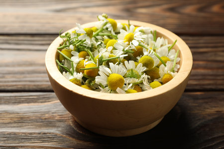 Fresh chamomile flowers in bowl on wooden table, closeupの写真素材