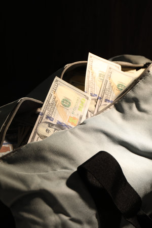 Bag with dollar banknotes on black background, closeup