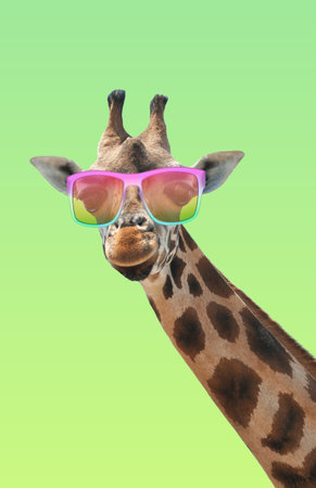 Cute giraffe with sunglasses against green gradient backgroundの写真素材