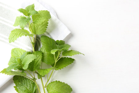 Fresh lemon balm leaves on white table, top view. Space for text