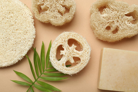 Natural loofah sponges, soap and green twig on beige background, flat layの写真素材