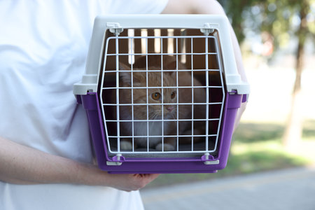 Owner holding pet carrier with cute cat outdoors, closeupの写真素材