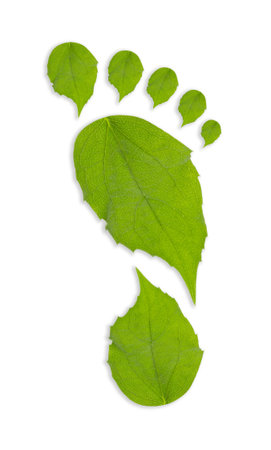 Human footprint made of green leaves on white background, top view. Environmental care, ecology protection, reducing CO2 emissionの写真素材