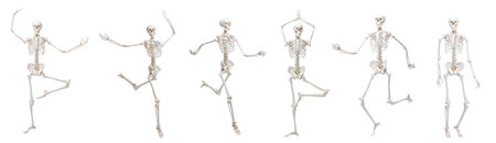 Artificial human skeleton model in different poses isolated on white, setの写真素材