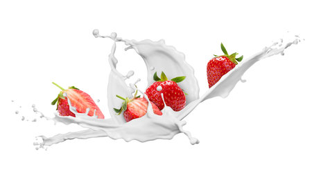 Fresh juicy strawberries and splashes of cream in air on white backgroundの写真素材