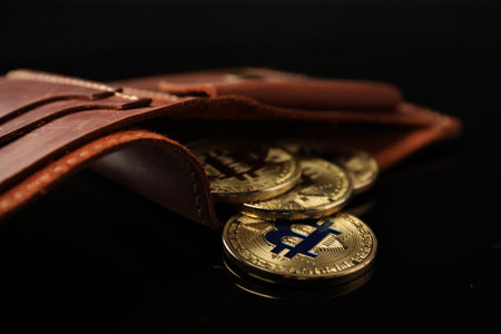 Cryptocurrency. Bitcoins in wallet on black mirror surface, closeupの写真素材