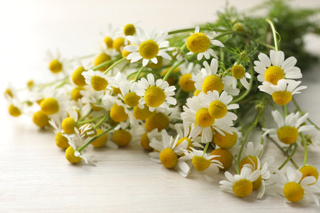 Beautiful chamomile flowers on light wooden table, closeupの写真素材