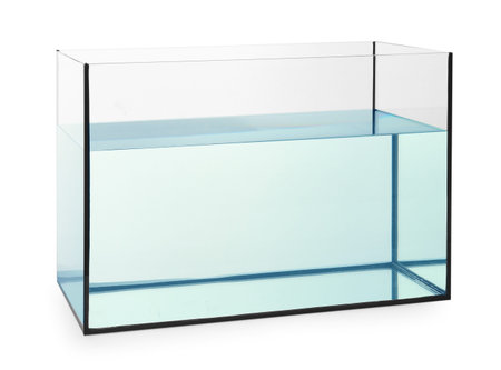 Glass aquarium with water isolated on whiteの写真素材