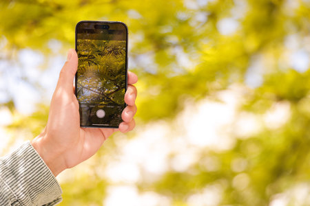 Man using plant recognition application on smartphone outdoors, closeup. Space for text
