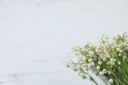 Beautiful lily-of-the-valley flowers on white marble background, closeup. Space for textの写真素材