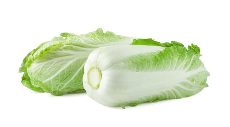 Two fresh Chinese cabbages isolated on whiteの写真素材