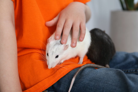 Little boy with his pet rats at home, closeupのeditorial素材