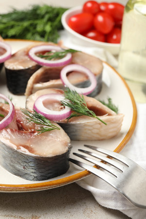 Pieces of delicious herring with onions and dill served on light table, closeupの写真素材
