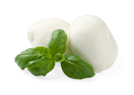 Tasty mozzarella cheese and basil isolated on whiteの写真素材