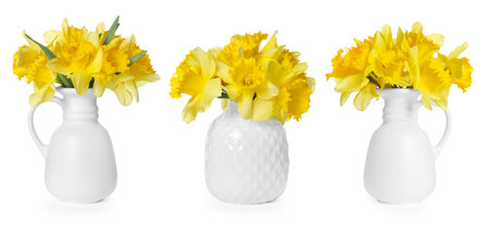 Beautiful daffodils in vases isolated on white, setの写真素材