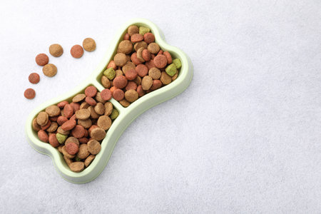 Dry pet food in feeding bowl on gray background, top view. Space for text
